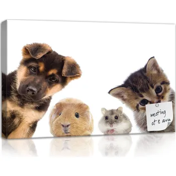 Obraz KORKOVÁ TABULE DĚTSKÁ KŘEČEK KOČKA PES 80x60