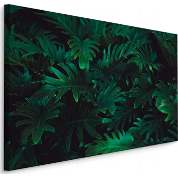 Obraz Obraz do Kuchyně KAPRADÍ Rostliny Zeleň 3D 40x30