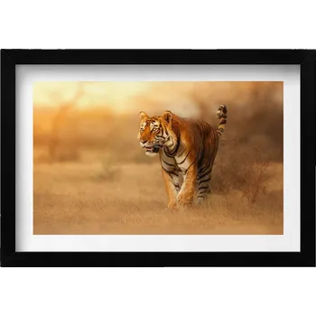 Obraz Dekorativní nástěnný obraz v rámu do obýváku Divoký tygr na lovu 30x20 cm