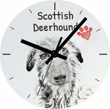 Hodiny Nástěnné hodiny Art-Dog bílé 20 cm