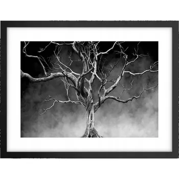 Obraz Obraz plakát v černém rámu do obýváku 40x30 strom foto plakáty na zeď