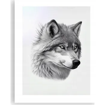 Obraz Obraz plakát na zeď bez rámu 40x50 vlk foto plakáty do obýváku ložnice