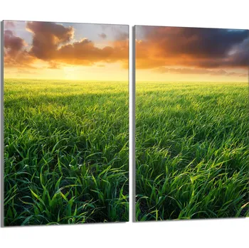 Obraz Krájecí deska TMK ArtDeko sklo 2 ks