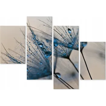 Obraz Obraz Čtyřdílný (Tetraptych) Pampeliška KAPKY Vody 3D 80x50