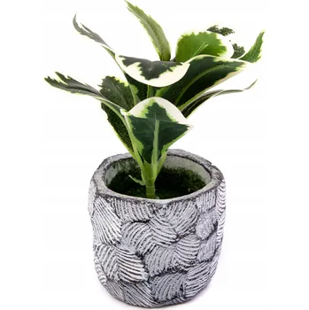 umělá květina Peperomia v květináči 18 cm – Různé druhy