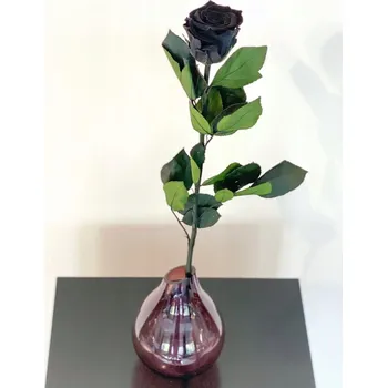 umělá květina Černá Stabilizovaná Růže na stonku 50 cm