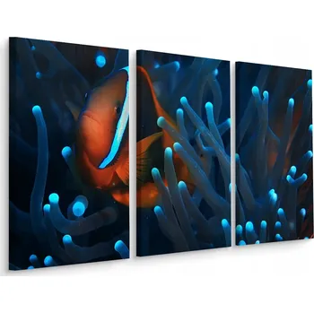 Obraz Obraz Triptych RYBA Sasanka Příroda Makro 3D 60x40