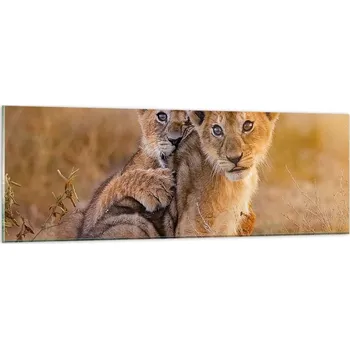 Obraz Obraz na skle do obýváku ložnice 90x30 zvířata obrazy na zeď sklo