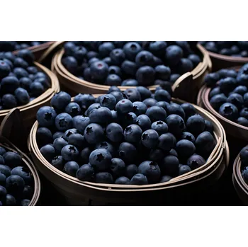 Plakát Plakát Bohatství Chutí bez rámu 91,5 x 61 cm