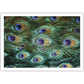 Obraz Plakát na zeď bez rámu 100x70 abstrakce obraz plakáty obývací pokoj ložnice