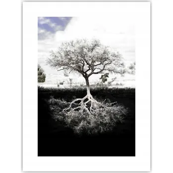 Obraz Obraz plakát do obýváku ložnice 30x40 abstrakce plakáty na zeď bez rámu