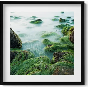 Obraz Dekorativní nástěnný obraz s rámem a grafikou loft Trávy na břehu řeky 50x50 cm