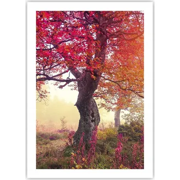 Obraz Plakát bez rámu do obýváku ložnice 50x70 krajina moderní módní obraz