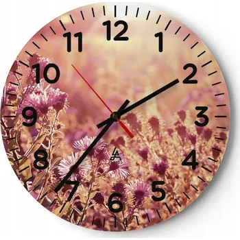 Hodiny Nástěnné hodiny do obýváku 40x40 Louka Kulatý Hodiny na skle Loft Tiché