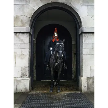 Obraz Plakát Královská garda v Londýně bez rámu 30 x 40 cm