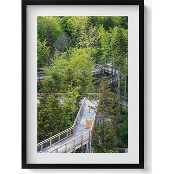 Obraz Ozdobný nástěnný obraz v rámu s grafikou Stezka v Krynici Zdroji 50x70 cm