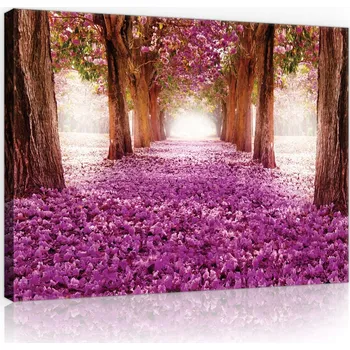 Obraz OBRAZ NA PLÁTNĚ CANVAS 60x40 PARK KVĚTINY ALEJA
