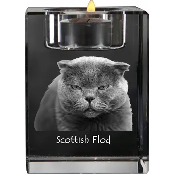 Svícen Skotská klapouchá - svícen s fotografií koně, křišťálový podstavec na čajovou svíčku