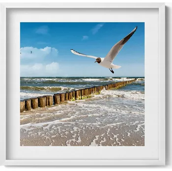Obraz Nástěnný dekorativní obraz v bílém rámu s grafikou Pták nad mořem 50x50 cm