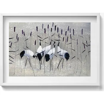 Obraz Nástěnný obraz v bílém rámu dekorace interiéru Jeřábi v rákosí 70x50 cm