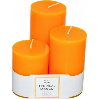Svíčka Tradiční parafinová svíčka Tropical Mango Artman 3 ks
