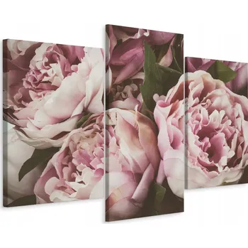 Obraz Obraz Tryptych KVĚTY Pivoňky Retro Styl 3D 90x60