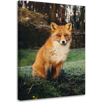 Obraz OBRAZ NA PLÁTNĚ Liška Les Příroda Zvířata 70x100