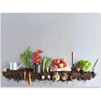 Kuchyňské prkénko Skleněná Ochranná Deska a Krájecí Prkénko | Indukce, Sporák ds-0522