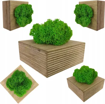 Obraz Dekorace z mechu chrobotka ve formě kostky z přírodního vrstveného dřeva