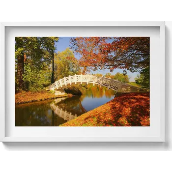 Obraz Elegantní obraz do obývacího pokoje v bílém rámu Park Woerlitzer na podzim 70x50 cm