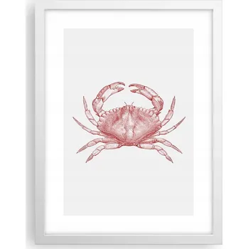 Obraz Obraz plakát v bílém rámu do obýváku 30x40 krab foto plakáty na zeď