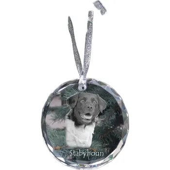 Obraz Fríský ohař (Stabyhoun) - křišťálová vánoční koule s fotografií, fotografie psa v