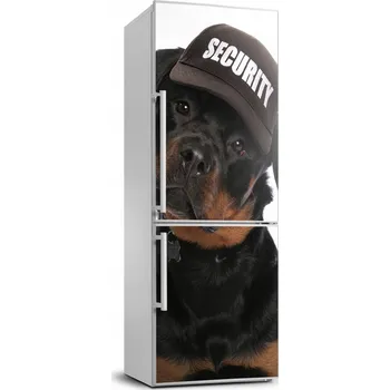 Fototapeta Samolepicí samolepící na ledničku Rottweiler 70x190