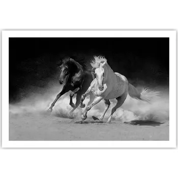 Obraz Obraz plakát do obýváku ložnice 91x61 zvířata foto na zeď bez rámu