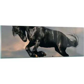 Obraz Obraz na skle do obýváku ložnice 90x30 zvířata obrazy na zeď sklo