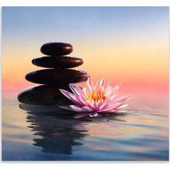 Kuchyňské prkénko Skleněná Ochranná Deska a Krájecí Prkénko | Indukce, Sporák ds-0532