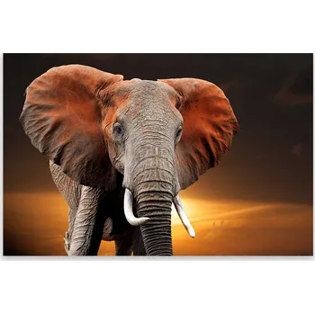 Kuchyňské prkénko Skleněná Ochranná Deska a Krájecí Prkénko | Indukce, Sporák ds-0544