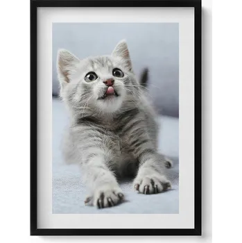 Obraz Dekorativní nástěnný obraz do pokoje Roztomilé malé kotě na pohovce 50x70 cm