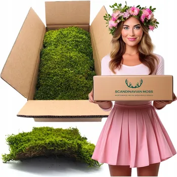 Obraz Dekorativní mech v krabičce 100g, 10 x 20 cm