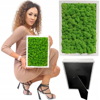 Obraz OBRAZ Z MECHU mech chrobotek sobí v dřevěném rámu 23x32 ŽIVÝ OBRAZ