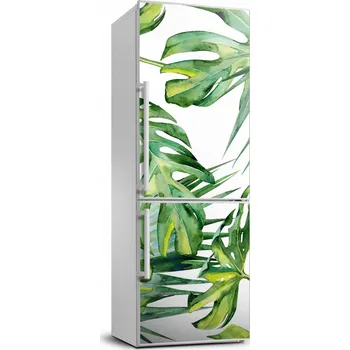Fototapeta Samolepící dýha na ledničku Tropické listy