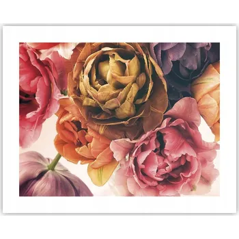 Obraz Obraz plakát na zeď bez rámu 50x40 květy foto plakáty obývací pokoj ložnice