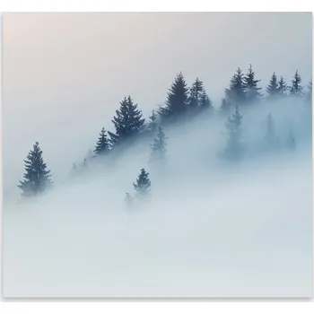 Kuchyňské prkénko Skleněná Ochranná Deska a Krájecí Prkénko | Indukce, Sporák ds-0387