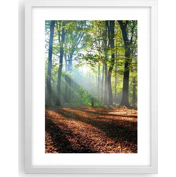 Obraz Obraz plakát v bílém rámu do obýváku 30x40 les foto plakáty na zeď