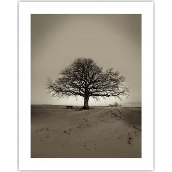 Obraz Obraz plakát na zeď bez rámu 40x50 krajina plakáty do obýváku ložnice