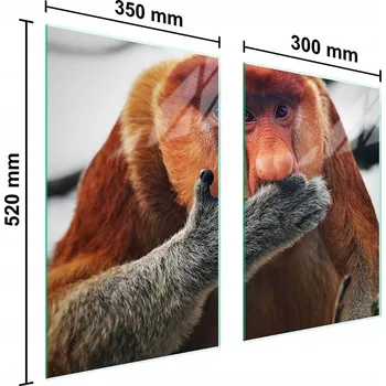 Kuchyňské prkénko Krájecí deska TMK ArtDeko sklo 2 ks