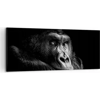 Obraz Foto obraz na plátně canvas 100x40 opice do obýváku ložnice na zeď velký