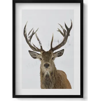 Obraz Dekorativní obraz v černém rámu do obýváku Vznešený jelen 50x70 cm
