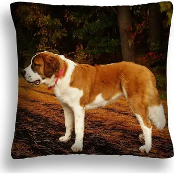 Polštář POLŠTÁŘ VELKÝ 50*50 PES 16 RASOVÝ BERNARDÝN