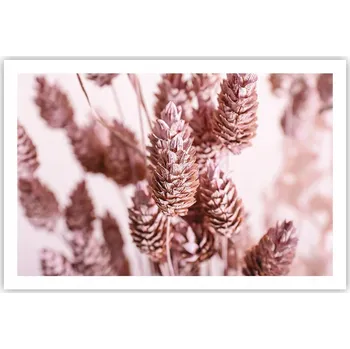 Obraz Obraz plakát do obýváku ložnice 91x61 květy sušené foto na zeď bez rámu